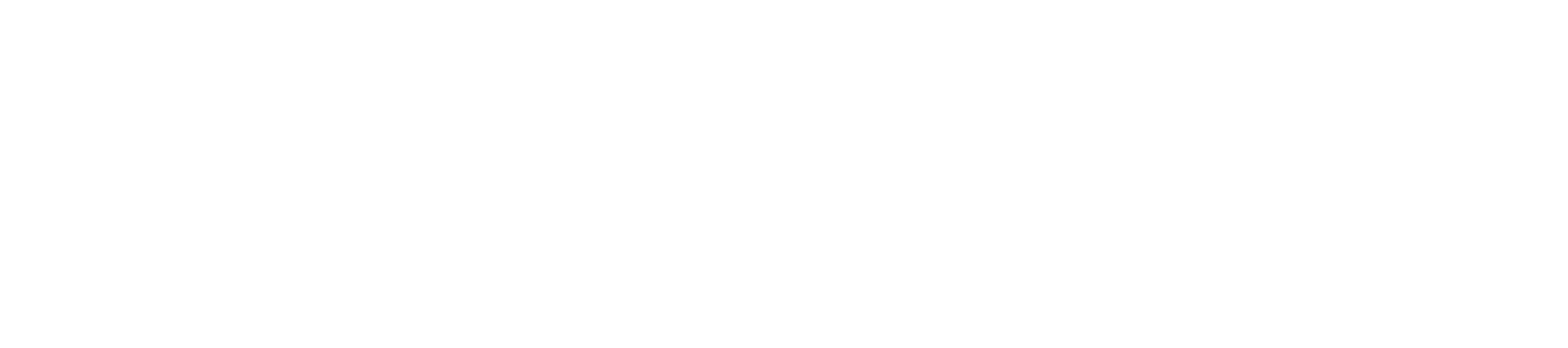 Logo Light